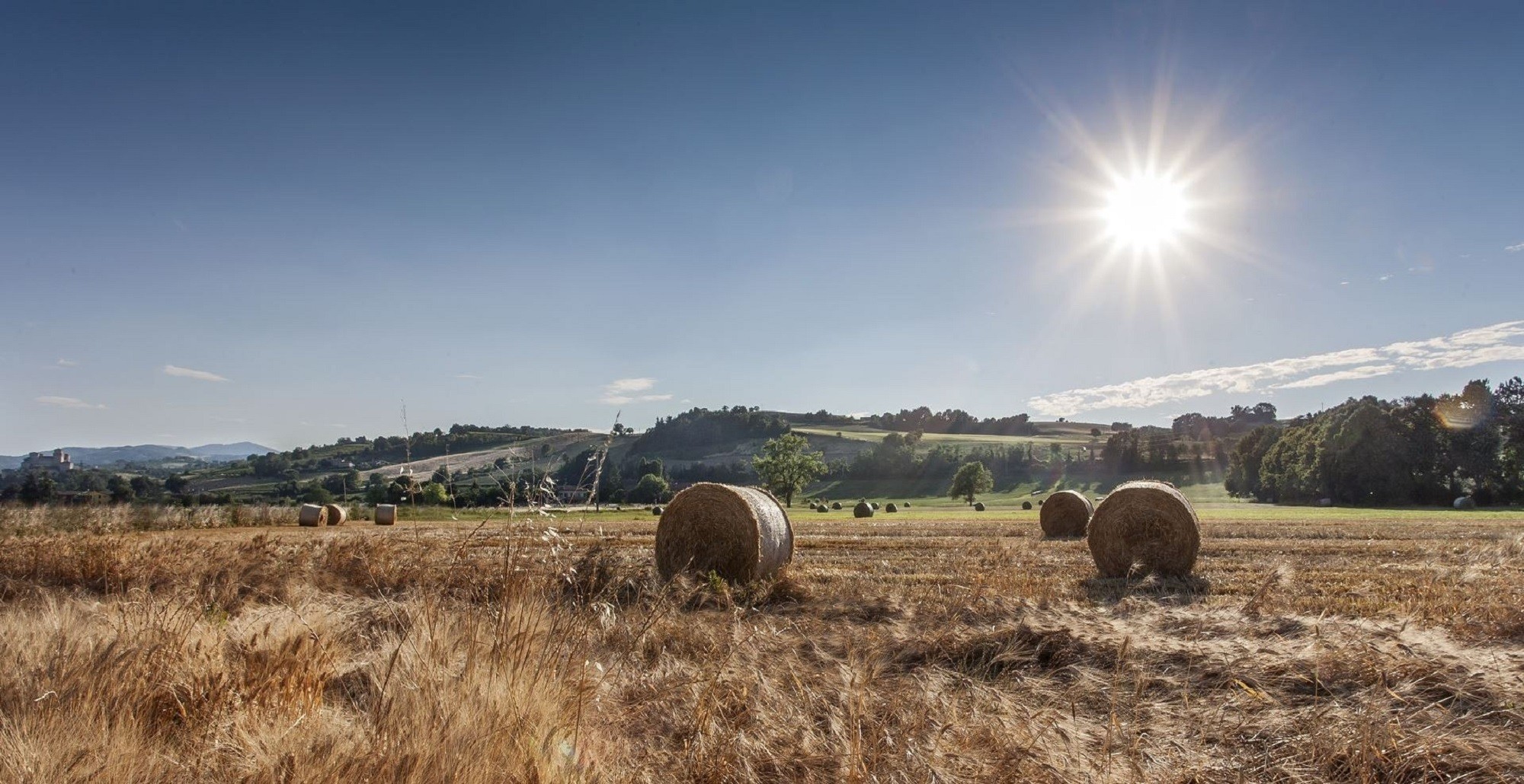 La tierra de Parmigiano Reggiano